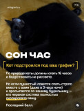 https://i8.imageban.ru/thumbs/2026.07.23/b535896858da110a640b8127a4499c26.jpg