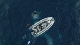 ����� ������� �����-���� / World's Biggest Mako (2026/WEB-DL 1080p)
